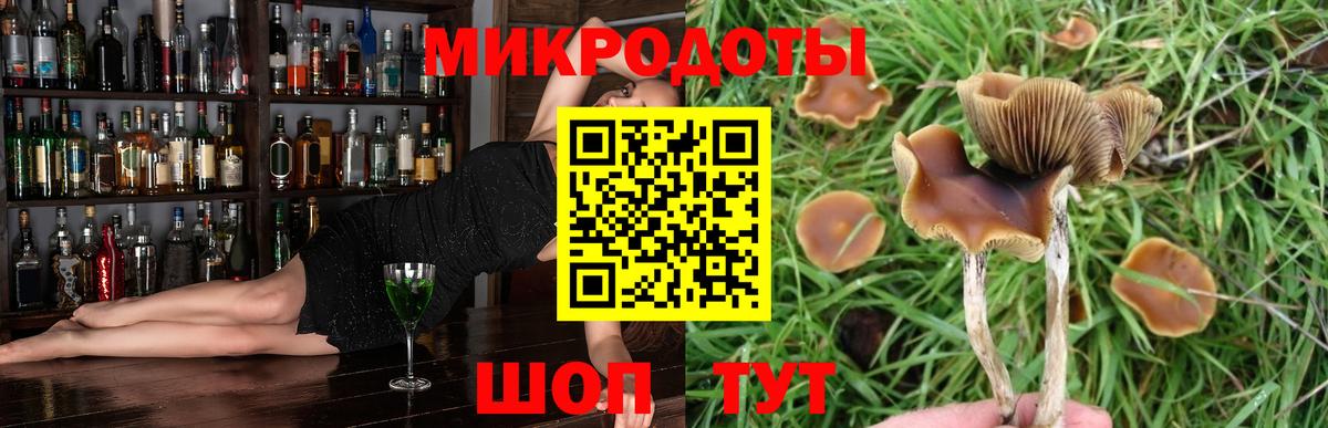 Псилоцибиновые грибы мицелий Нововоронеж