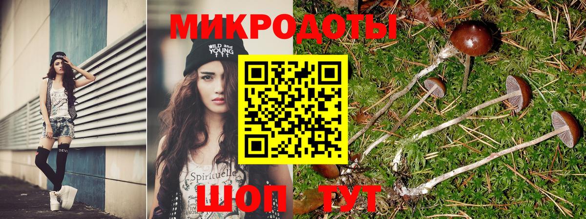 Нововоронеж  Галлюциногенные грибы Psilocybe  Вход с VPN 